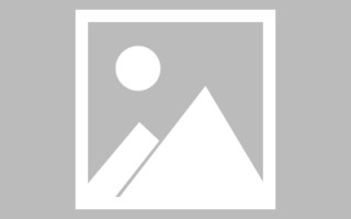 新泰普兰店网站搭建（普兰店官方网站）